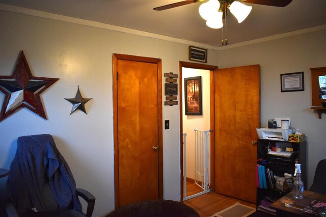 71435 Range Line Rd, Iron River, WI 54847 - interior space with ceiling fan, crown molding, and wood finished floors
