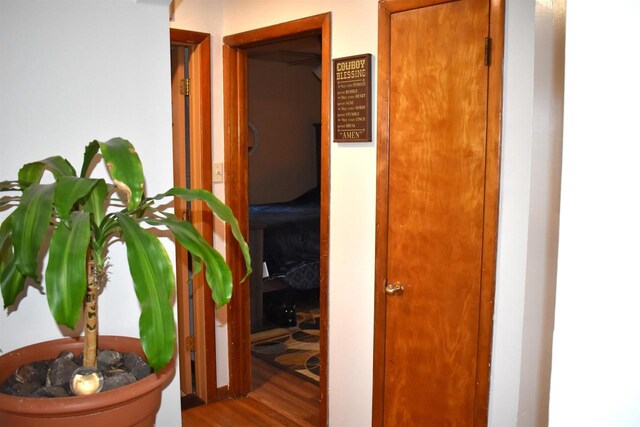 71435 Range Line Rd, Iron River, WI 54847 - hallway featuring wood finished floors