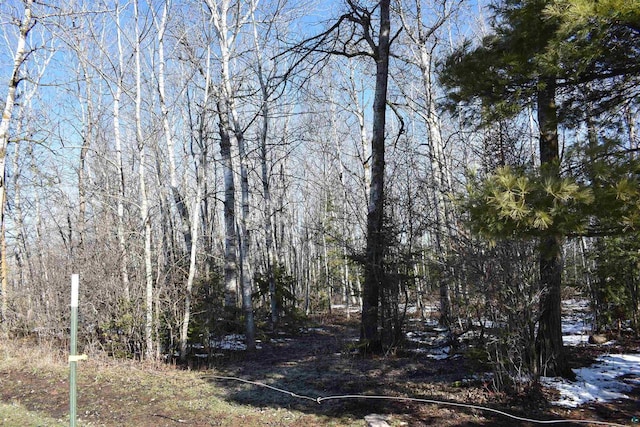 71435 Range Line Rd, Iron River, WI 54847 - view of local wilderness