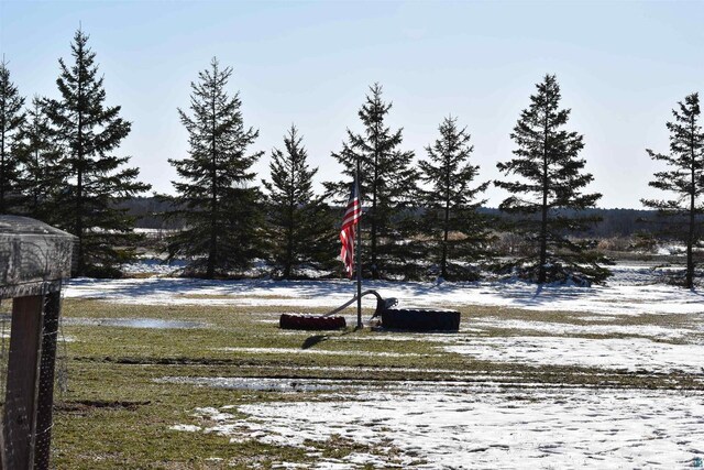 71435 Range Line Rd, Iron River, WI 54847 - view of snowy yard
