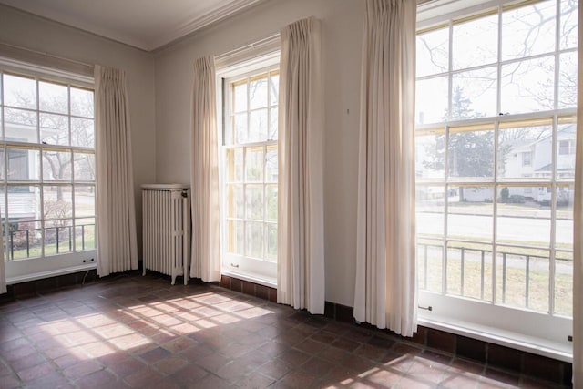 328 Wilson St, Winona, MN 55987 - empty room featuring ornamental molding and radiator heating unit