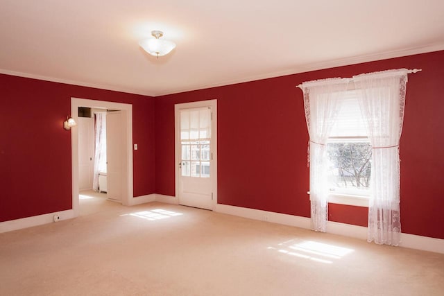 328 Wilson St, Winona, MN 55987 - carpeted empty room with crown molding