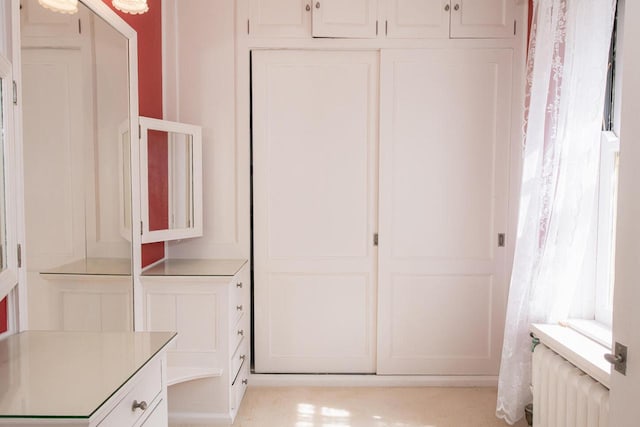 328 Wilson St, Winona, MN 55987 - closet with radiator heating unit