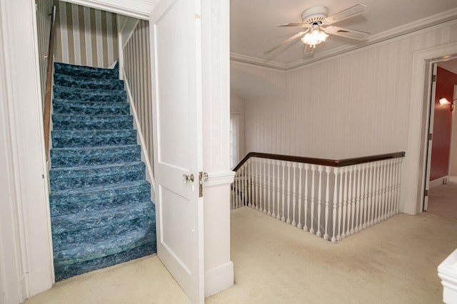 328 Wilson St, Winona, MN 55987 - stairway with ornamental molding, carpet flooring, and a ceiling fan