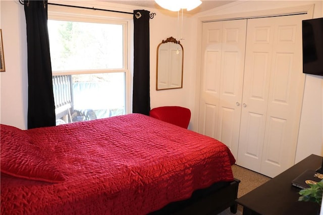 12188 Old Trl, Wisconsin Rapids, WI 54494 - bedroom with a closet and carpet