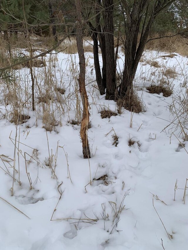 000 Rose Rd, Wisconsin Rapids, WI 54454