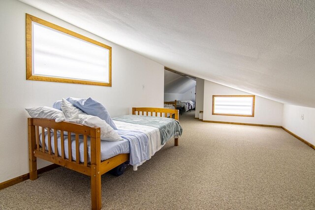 N4142 Sleepy Hollow Rd, Cambridge, WI 53523 - bedroom featuring a textured ceiling, lofted ceiling, carpet floors, and baseboards