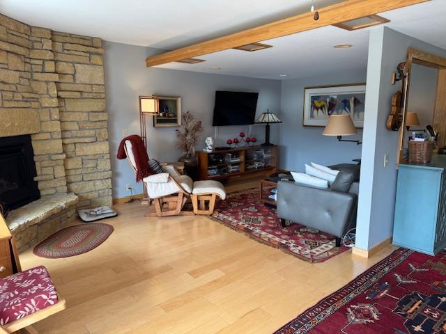living area featuring baseboards, wood finished floors, and a fireplace