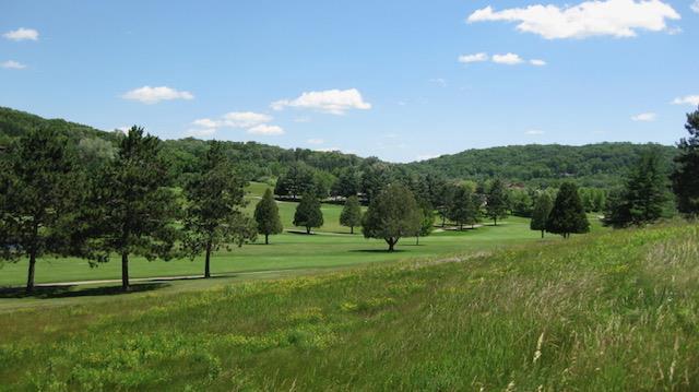 view of property's community with a yard