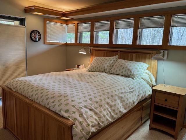 bedroom with light colored carpet and multiple windows