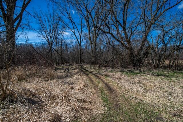 9506 296th Ave, Salem, WI 53168 - view of local wilderness