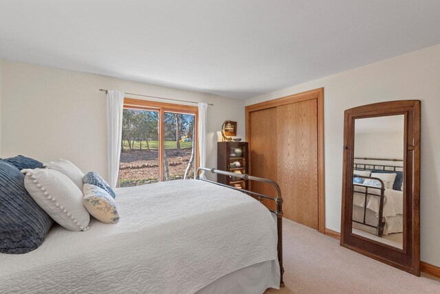 bedroom featuring carpet floors and a closet