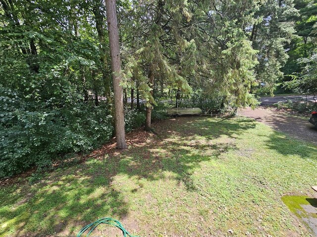 W5691 Cedar Trl, Neshkoro, WI 54960 - view of yard