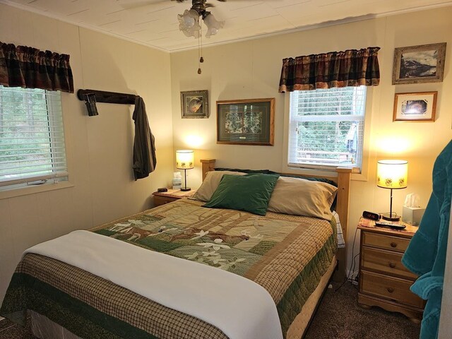 W5691 Cedar Trl, Neshkoro, WI 54960 - carpeted bedroom featuring crown molding