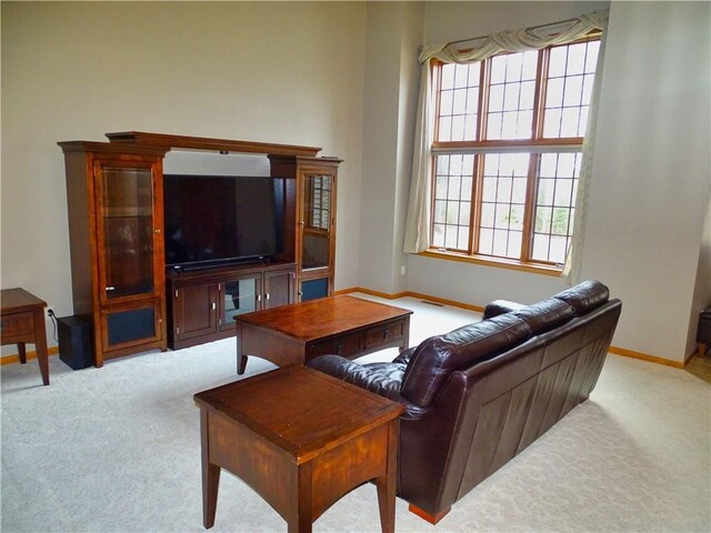 N1698 945th St, Eau Claire, WI 54701 - living area with baseboards, carpet flooring, and plenty of natural light