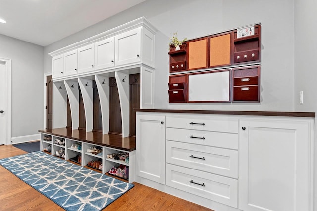 6916 N Palladium Ct, Appleton, WI 54913 - mudroom with light wood finished floors and recessed lighting