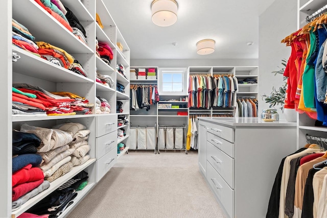 6916 N Palladium Ct, Appleton, WI 54913 - walk in closet featuring light colored carpet