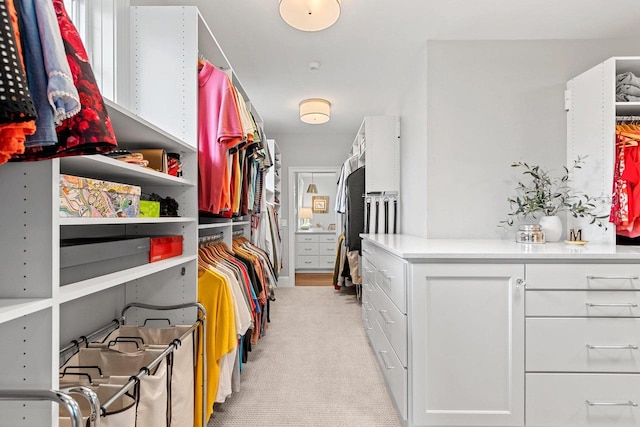 6916 N Palladium Ct, Appleton, WI 54913 - walk in closet with light colored carpet