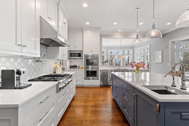6916 N Palladium Ct, Appleton, WI 54913 - kitchen featuring appliances with stainless steel finishes, a sink, under cabinet range hood, white cabinetry, and tasteful backsplash