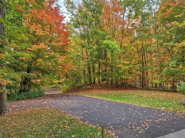 840 Park Dr, Balsam Lake, WI 54810 - view of street with a wooded view