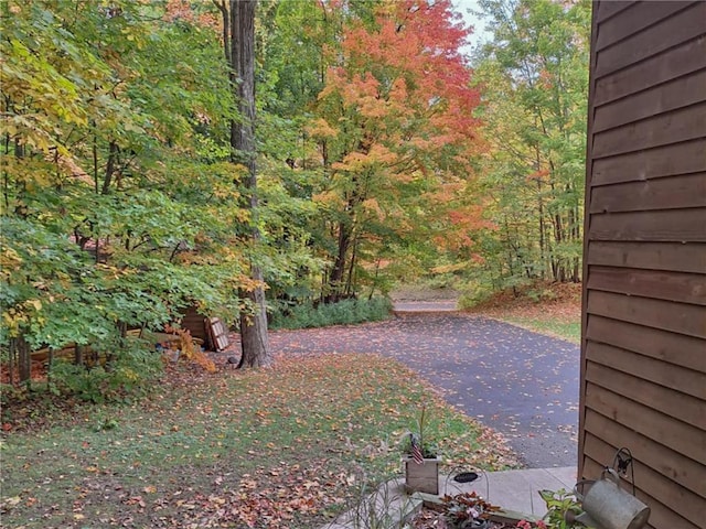 840 Park Dr, Balsam Lake, WI 54810 - view of yard featuring a wooded view and a patio