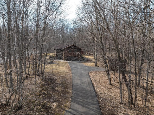 840 Park Dr, Balsam Lake, WI 54810 - view of street featuring driveway