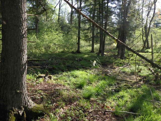 Behnke Rd, Wausau, WI 54403