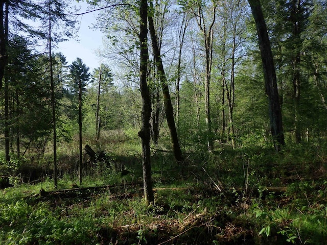 Behnke Rd, Wausau, WI 54403
