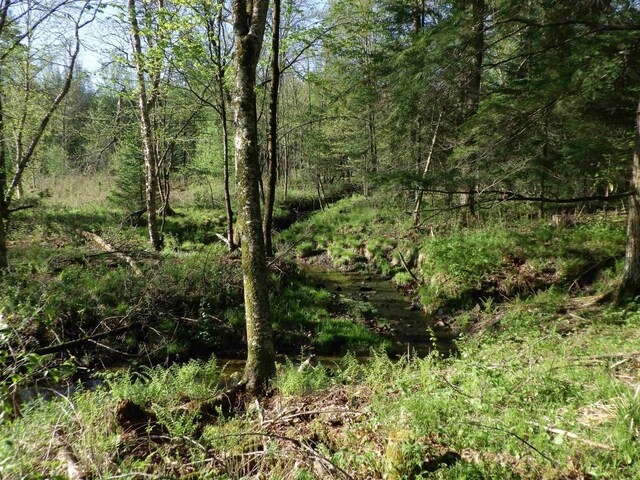 Behnke Rd, Wausau, WI 54403