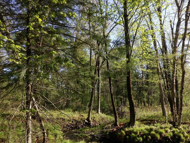 Behnke Rd, Wausau, WI 54403