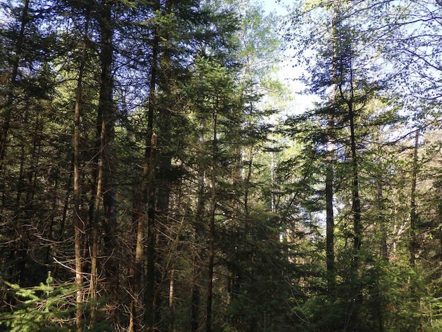 Behnke Rd, Wausau, WI 54403