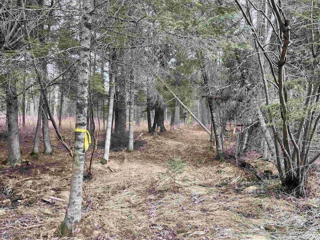 Behnke Rd, Wausau, WI 54403