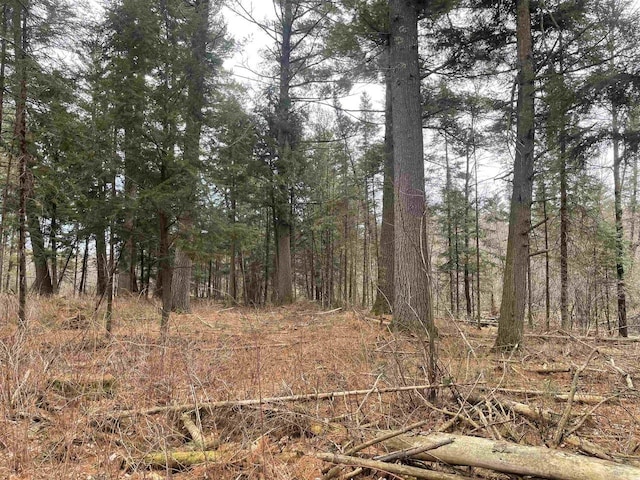 Behnke Rd, Wausau, WI 54403