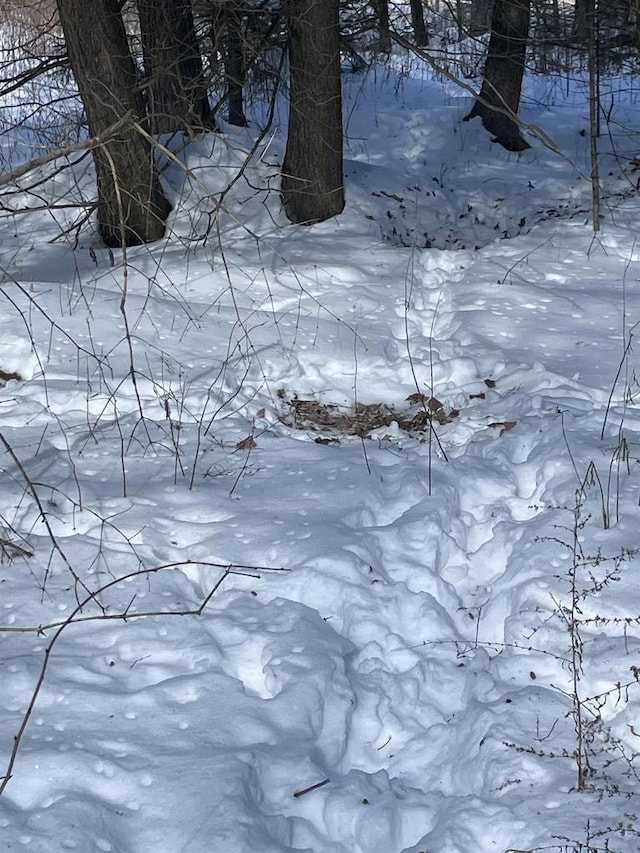 Behnke Rd, Wausau, WI 54403