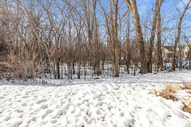 4923 W Woods Creek Ln, Appleton, WI 54913 - view of yard layered in snow