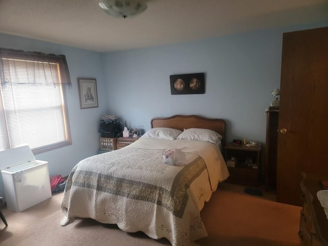 S5026 Greenfield Ln, Baraboo, WI 53913 - view of carpeted bedroom