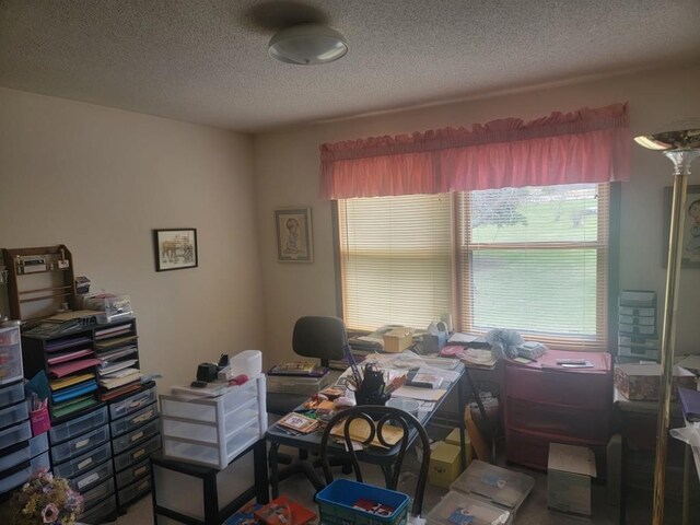 S5026 Greenfield Ln, Baraboo, WI 53913 - office space featuring a textured ceiling and a wealth of natural light