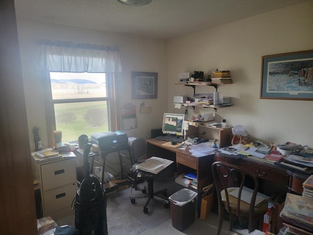 S5026 Greenfield Ln, Baraboo, WI 53913 - office featuring carpet