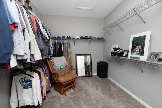 walk in closet featuring attic access and carpet