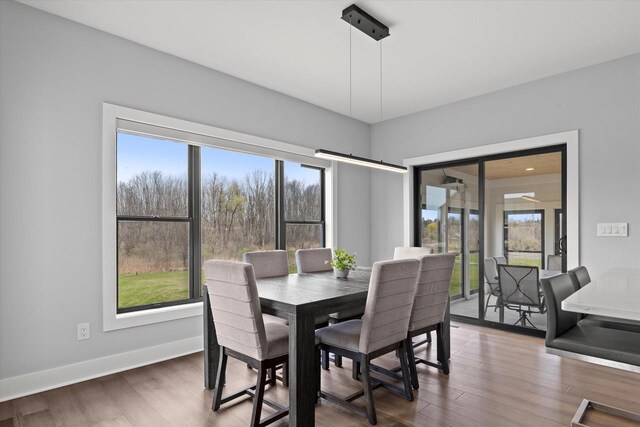 dining room with baseboards, wood finished floors, and a healthy amount of sunlight