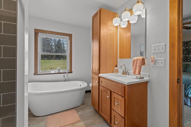 full bath featuring vanity and a freestanding bath