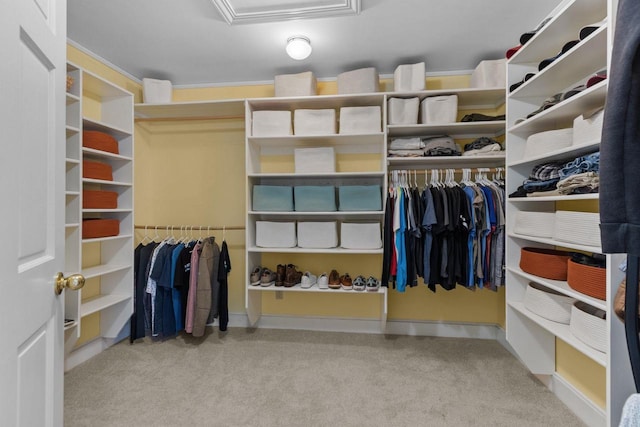 140 River Dr, Appleton, WI 54915 - walk in closet featuring attic access and carpet floors