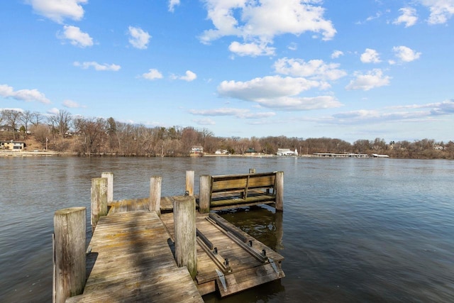 140 River Dr, Appleton, WI 54915 - dock area with a water view