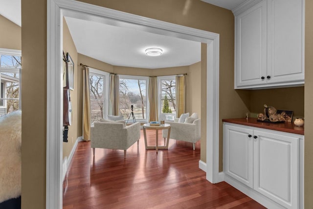 140 River Dr, Appleton, WI 54915 - sitting room featuring dark wood finished floors and baseboards