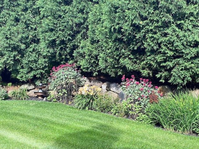 806 Stagecoach Trl, Madison, WI 53717 - view of yard