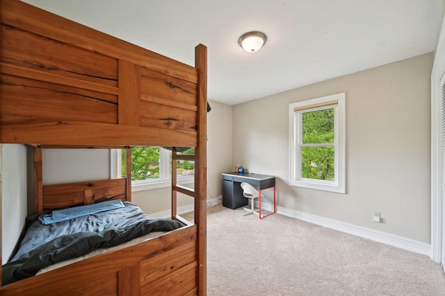 5407 Marsh Woods Dr, Mcfarland, WI 53558 - carpeted bedroom featuring multiple windows and baseboards