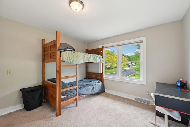 5407 Marsh Woods Dr, Mcfarland, WI 53558 - bedroom with carpet floors and baseboards
