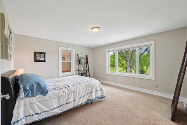 5407 Marsh Woods Dr, Mcfarland, WI 53558 - bedroom with carpet flooring and baseboards