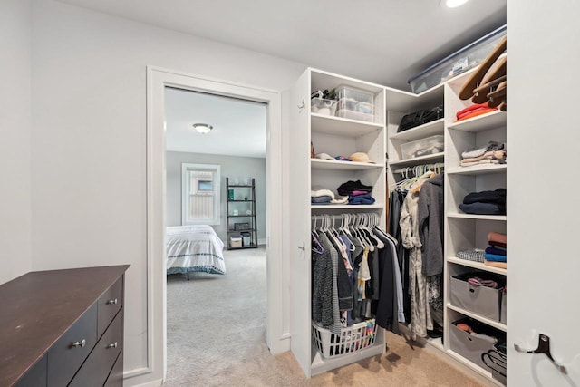 5407 Marsh Woods Dr, Mcfarland, WI 53558 - walk in closet with light colored carpet