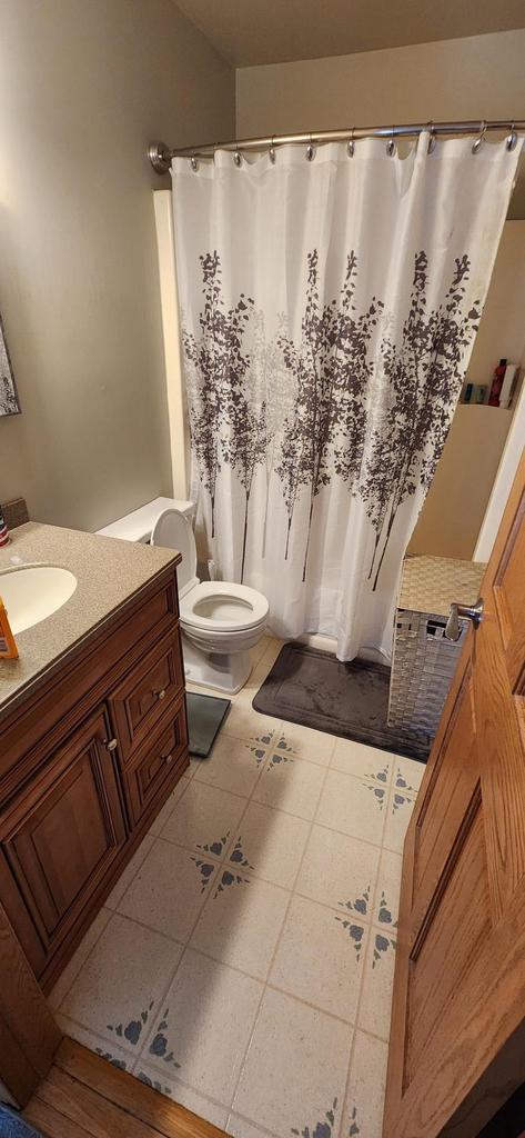 bathroom featuring toilet, vanity, and curtained shower